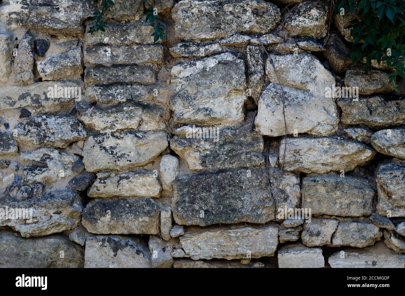 Antique shell stone exterior wall. Close-up of building blocks with ...