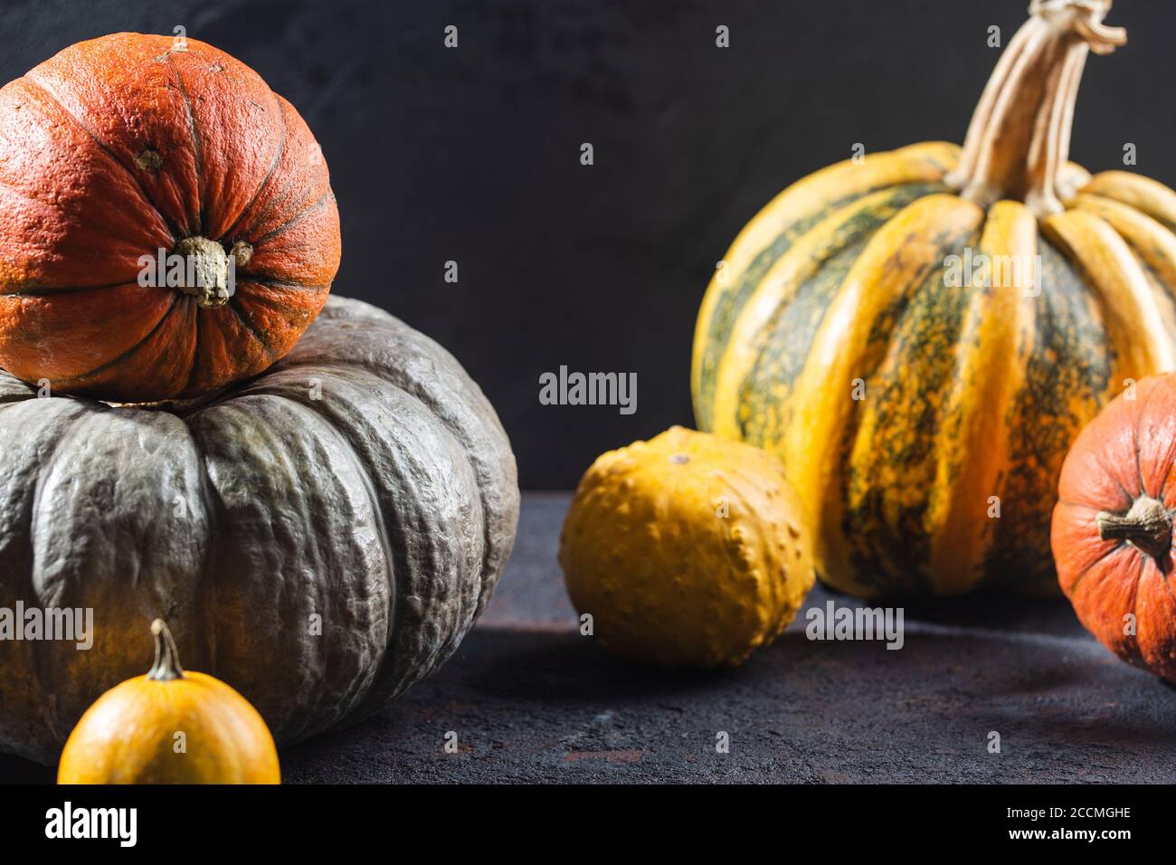Autumn still life with pumpkins. Studio photo Stock Photo - Alamy