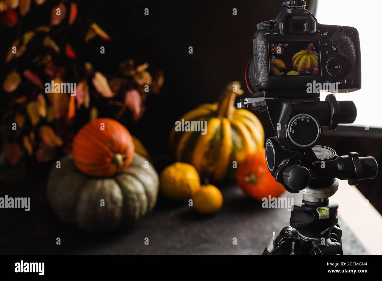 Autumn still life with pumpkins. Studio photo Stock Photo - Alamy