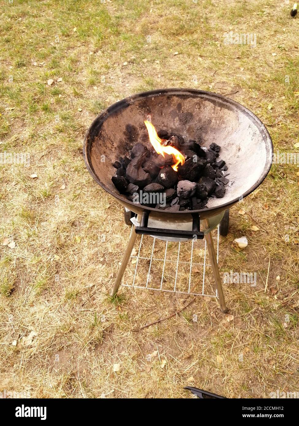 Vertical high angle shot of the bbq fire in the woods Stock Photo