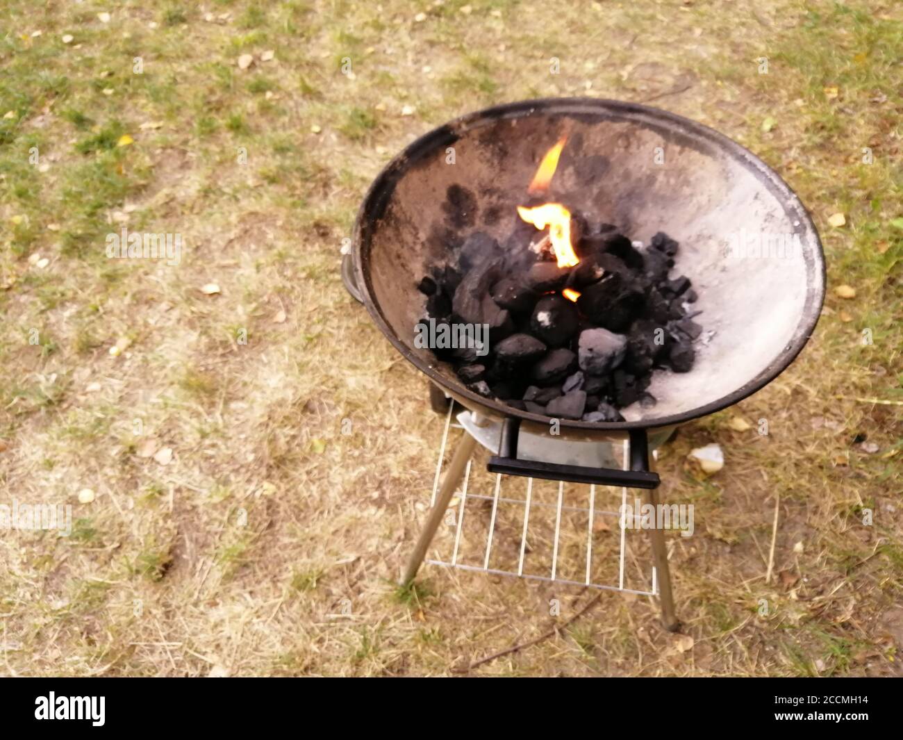 High angle shot of the bbq fire in the woods Stock Photo