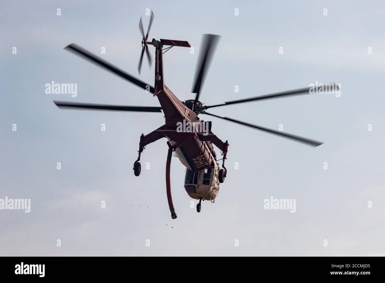 Sikorsky CH-54A Tarhe N795HT operates out of Meadowlark Field in Livermore, California, in response to the 2020 SCU Lightning Complex fires. Stock Photo