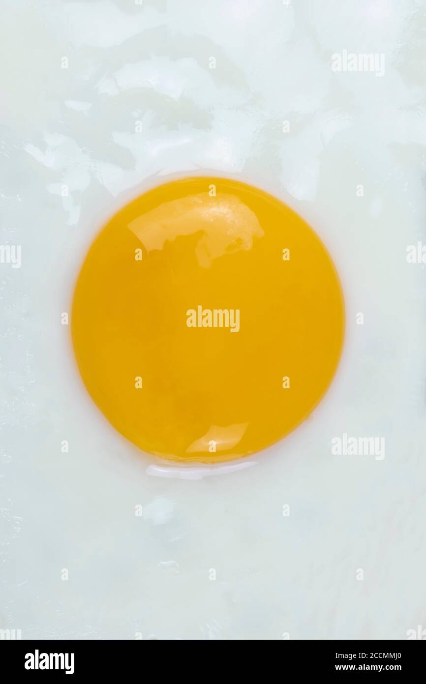 Fried egg sunny side up close up. Vertical top view. Stock Photo