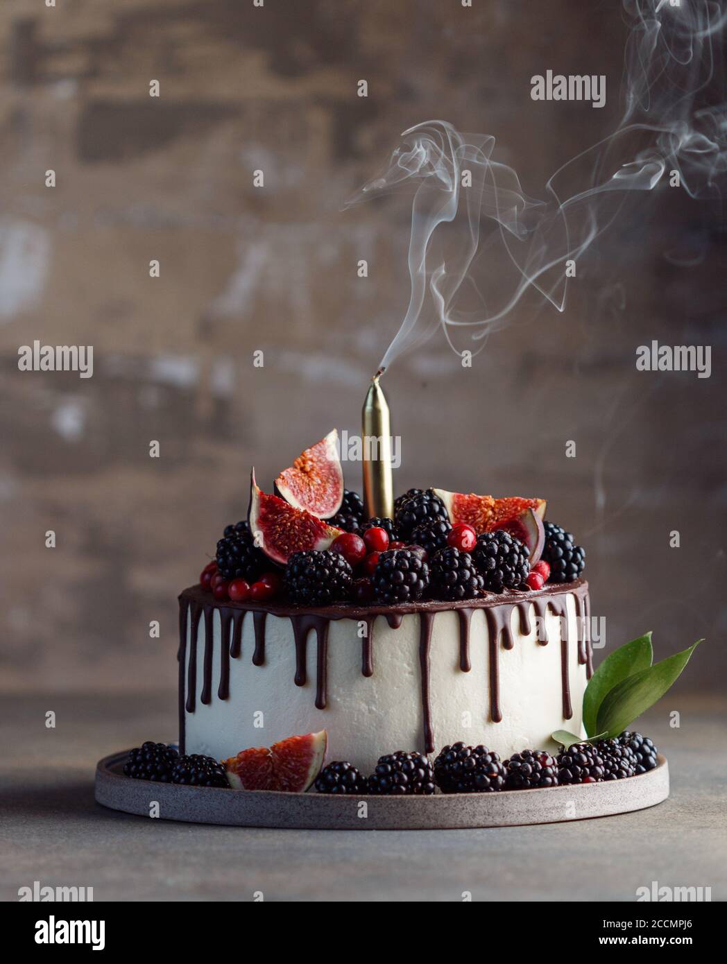 White Autumn Berries High Resolution Stock Photography And Images Alamy