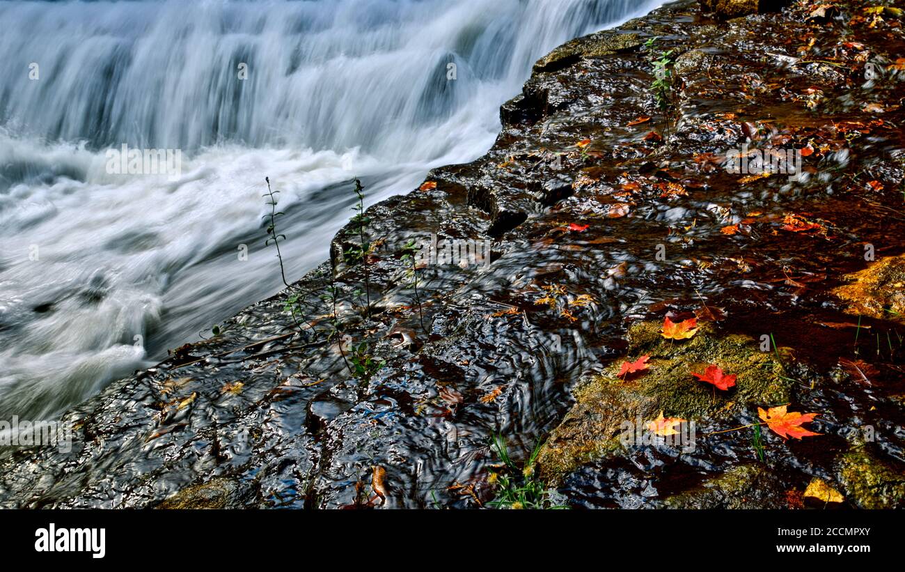Maple leaves with waterfall and flowing water Stock Photo