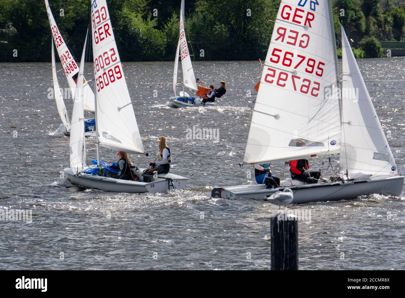 Baldeneysee, sailing regatta, Laser and dinghy class, Essen, NRW, Germany  Stock Photo - Alamy