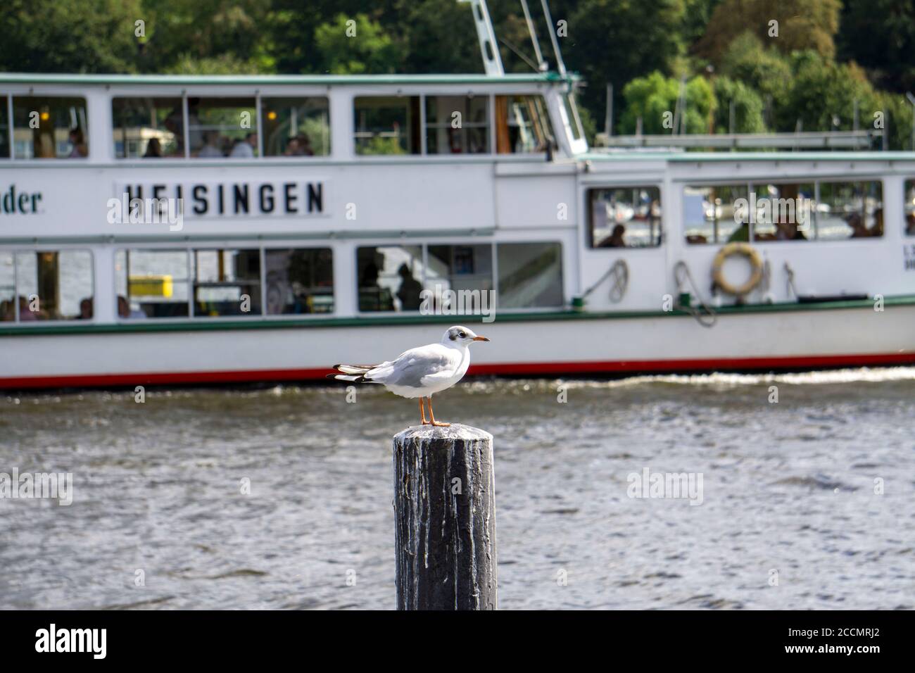 Lake Baldeney, sailboat, seagull on a pole, excursion boat of the White Fleet, Essen, NRW, Germany Stock Photo