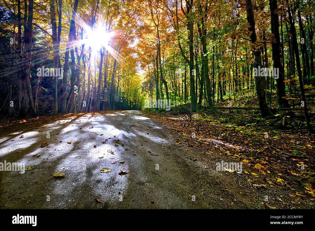 The landscape of country road with autumn leaf color, and low angle view. Stock Photo