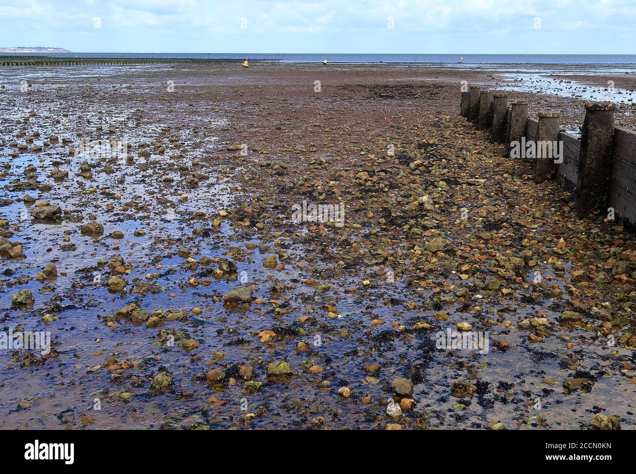 Whitstable oyster beds, kent hi-res stock photography and images - Alamy