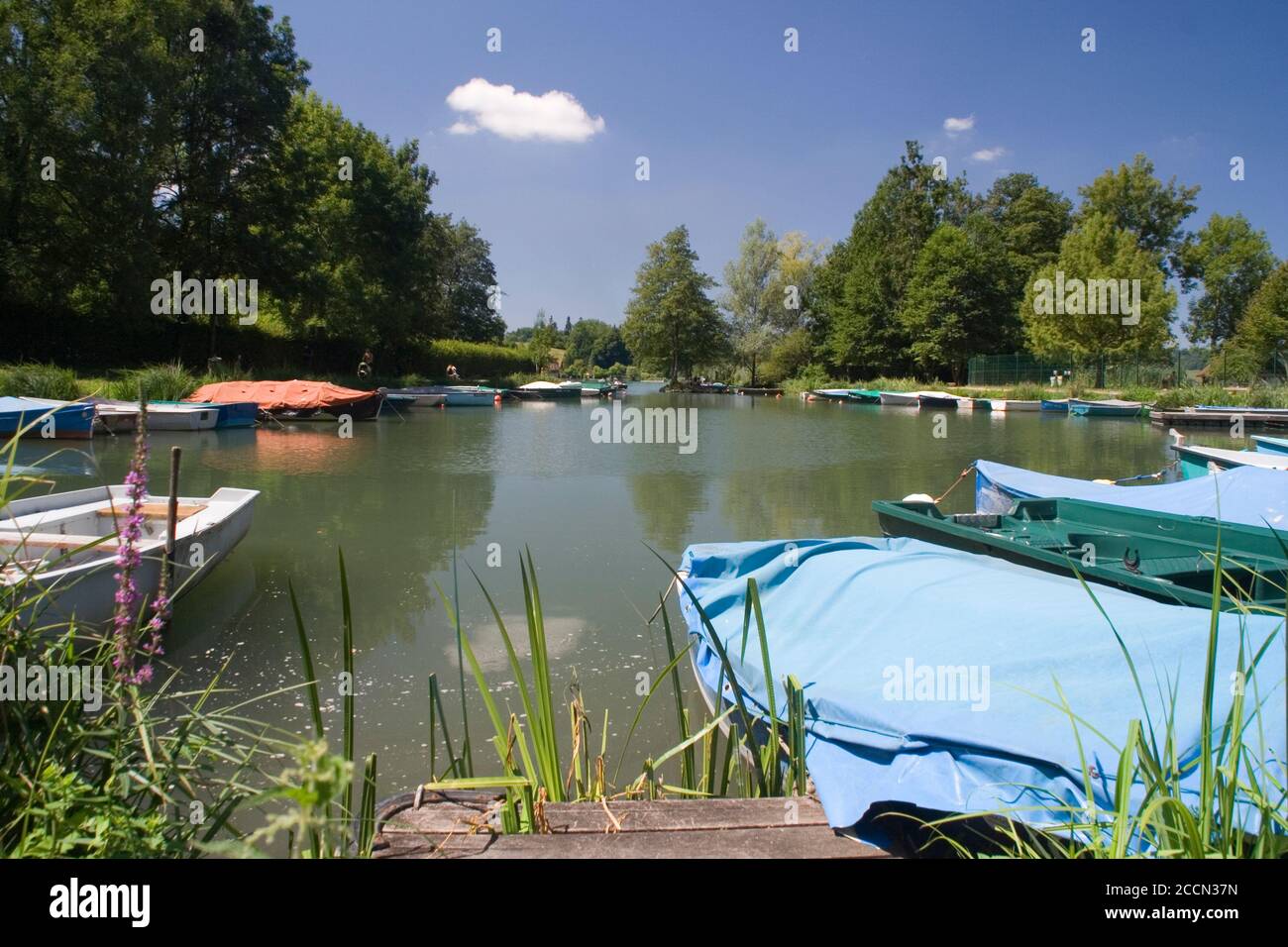 Lac d'Aiguebelette Stock Photo