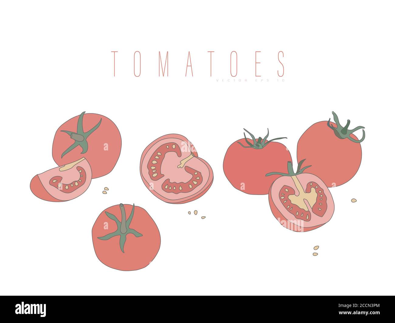 Whole and cut tomatoes. Vector illustration flat style isolated on a white  Stock Vector