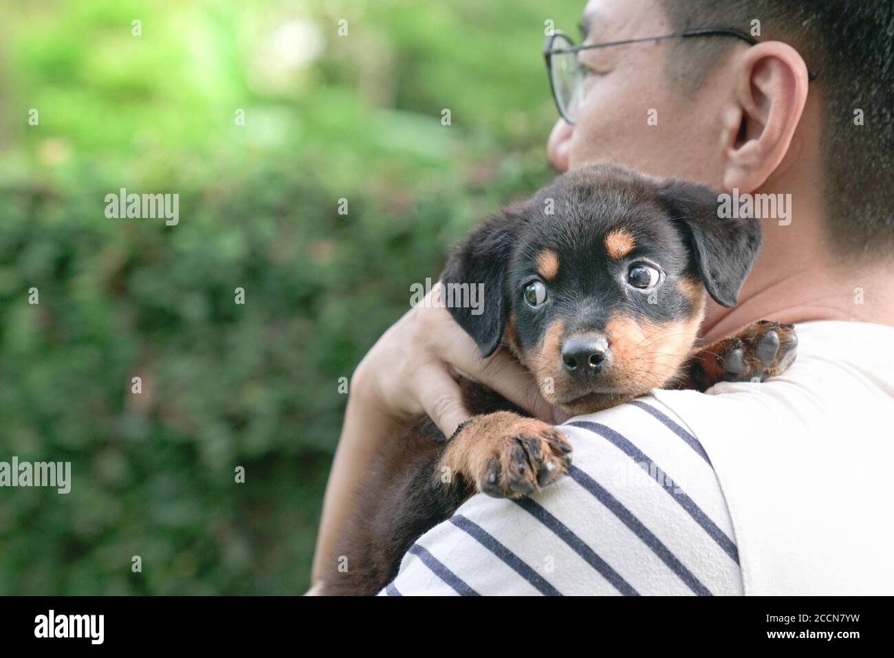 Adult man holding little puppy dog on his shoulder. Copy space. Stock Photo