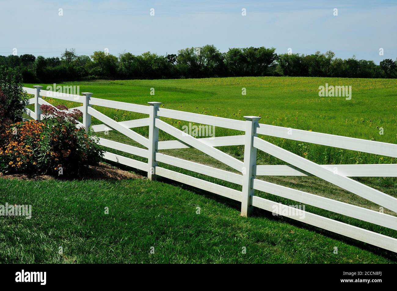 A flower laden farm fence surrounds a field of summer sun flowers. Stock Photo