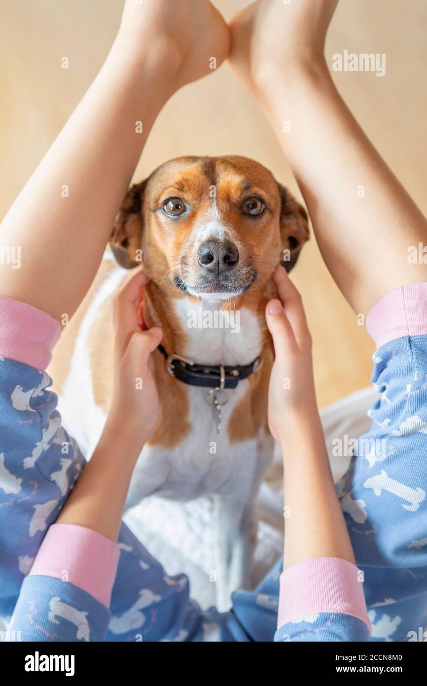 A sweet mutt in between a girl's legs Stock Photo