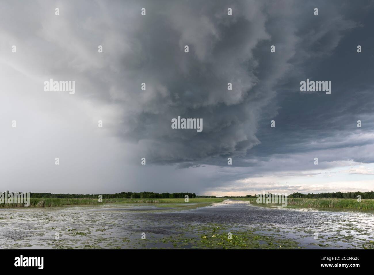 Approaching thunderstorms over wetland, Summer, WI, USA, by Dominique Braud/Dembinsky Photo Assoc Stock Photo