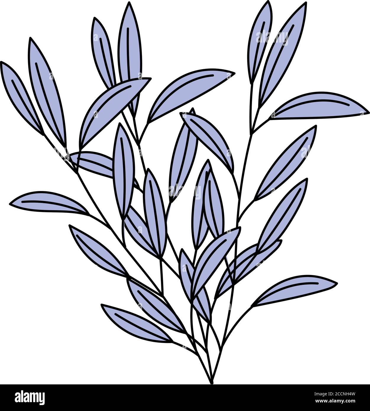 branches foliage natural botanical isolated white background vector ...