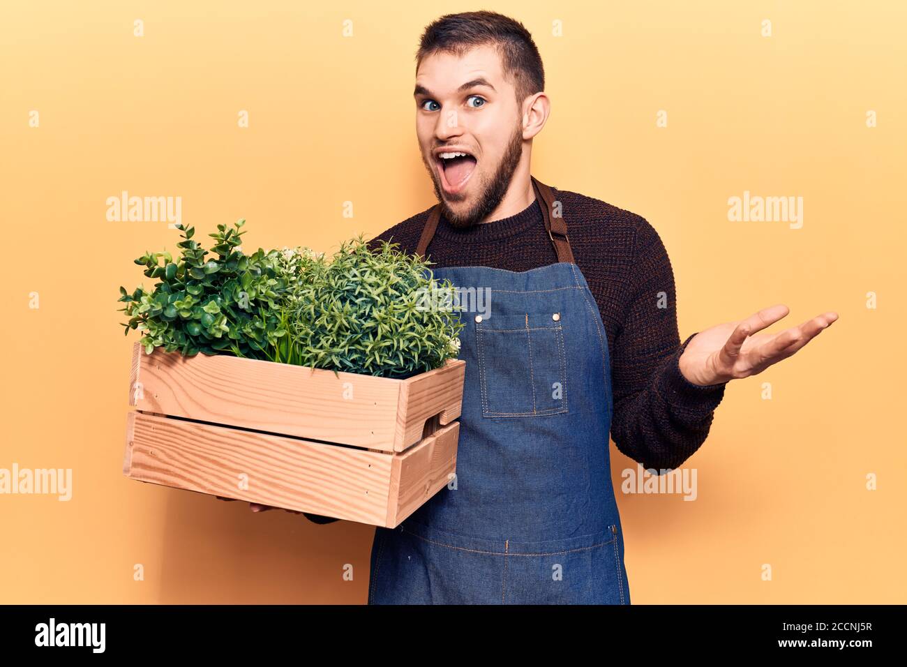 Young handsome man wearing gardener apron holding pant pot celebrating achievement with happy smile and winner expression with raised hand Stock Photo
