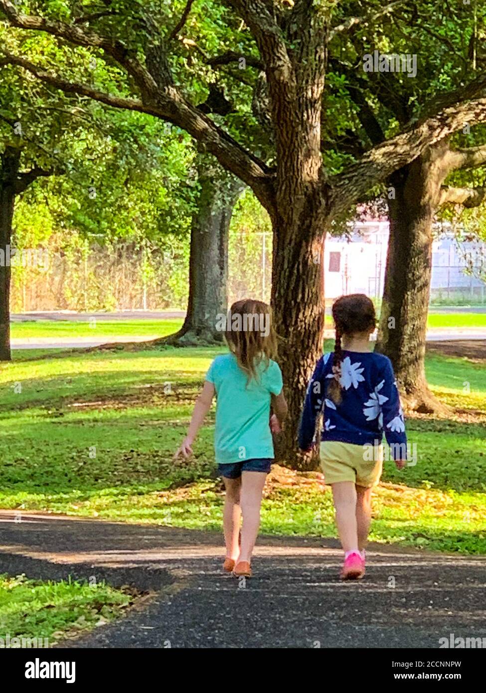 Little Girls walking hand in hand Stock Photo - Alamy