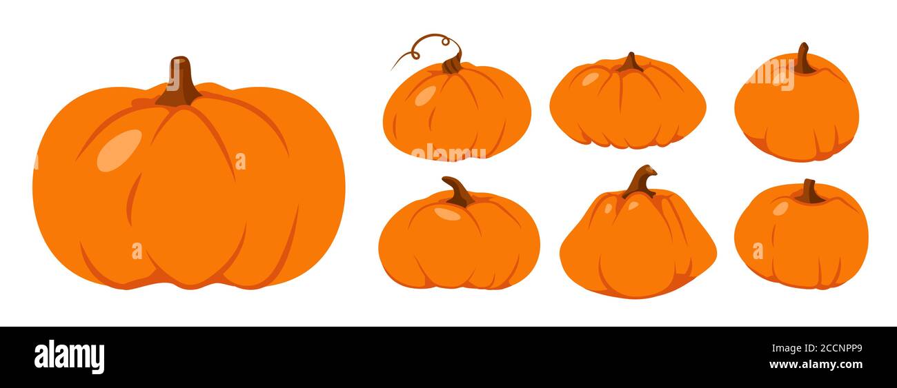 Set of Autumn pumpkin flat icon. Symbol Thanksgiving and Halloween. Cartoon different shape orange gourd. Gather farm harvest, season crop capacity. Ripe vegetable squash. Isolated vector illustration Stock Vector