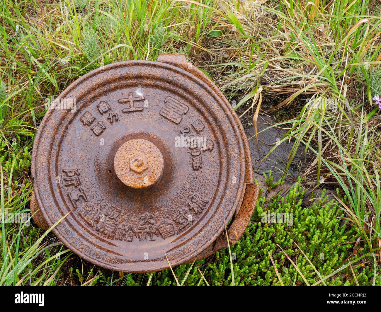 Remnants of WWII war machinery on Kiska Island, Aleutians, Alaska. Stock Photo