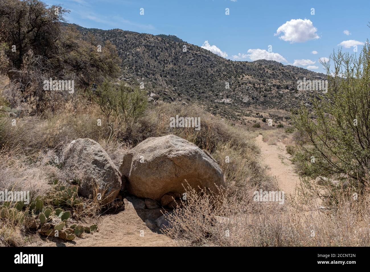 Sandia Mountain Wilderness, part of Cibola National Forest, is located east of Albuquerque, New Mexico Stock Photo