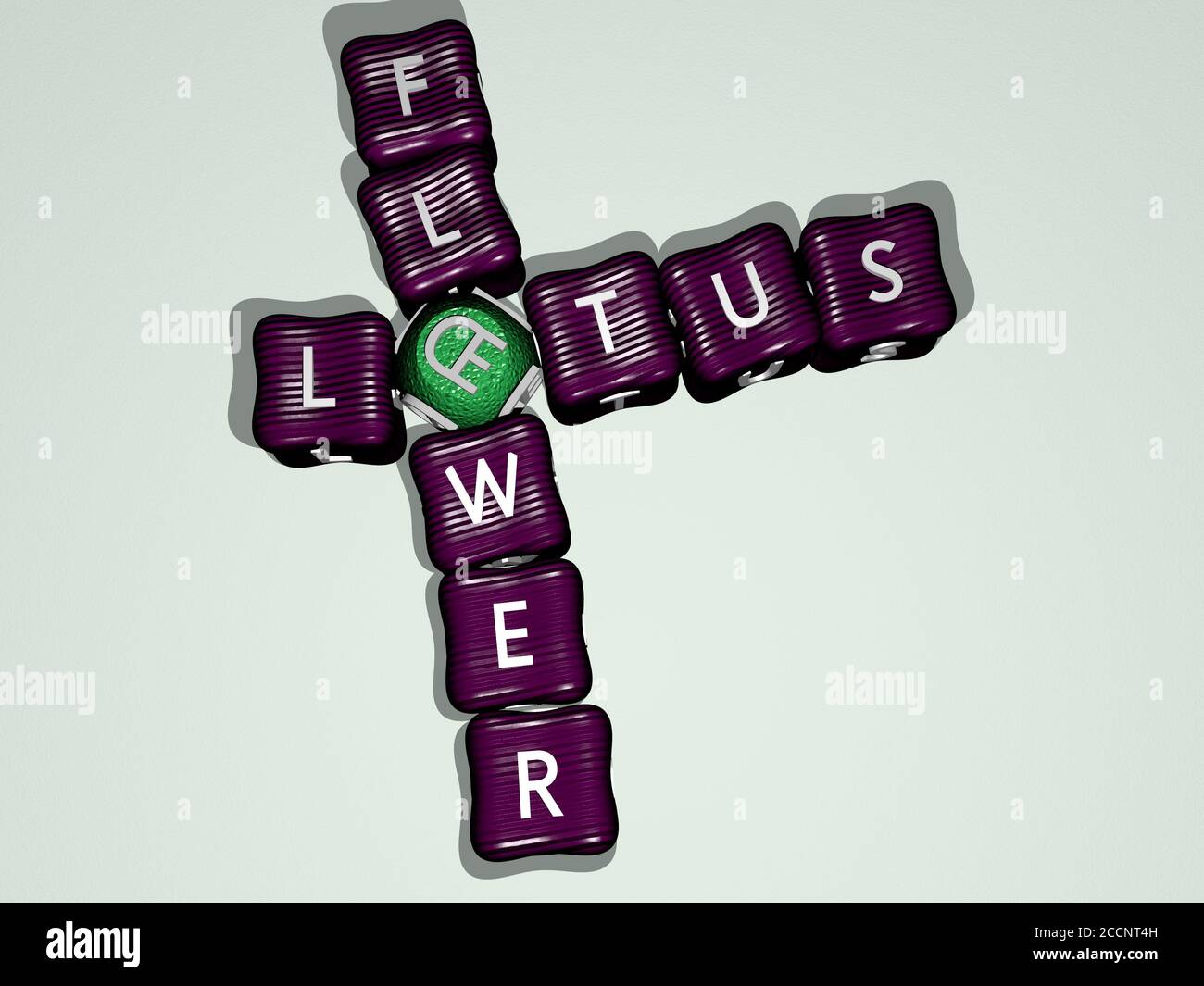 LOTUS FLOWER crossword of colorful cubic letters 3D illustration Stock