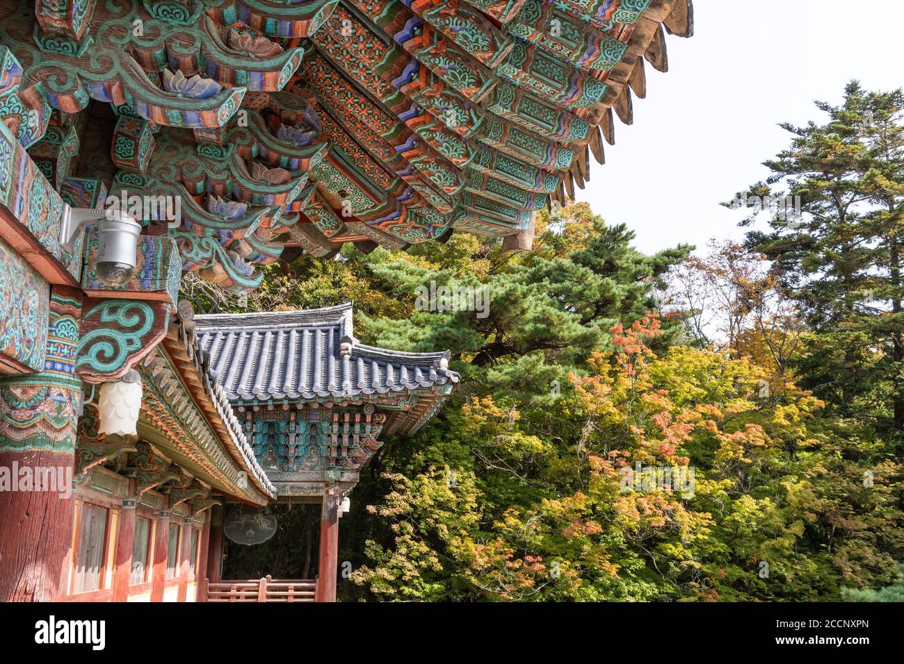 Pavilion at Bulguksa buddhist temple in Gyeongju Korea in autumn with ...