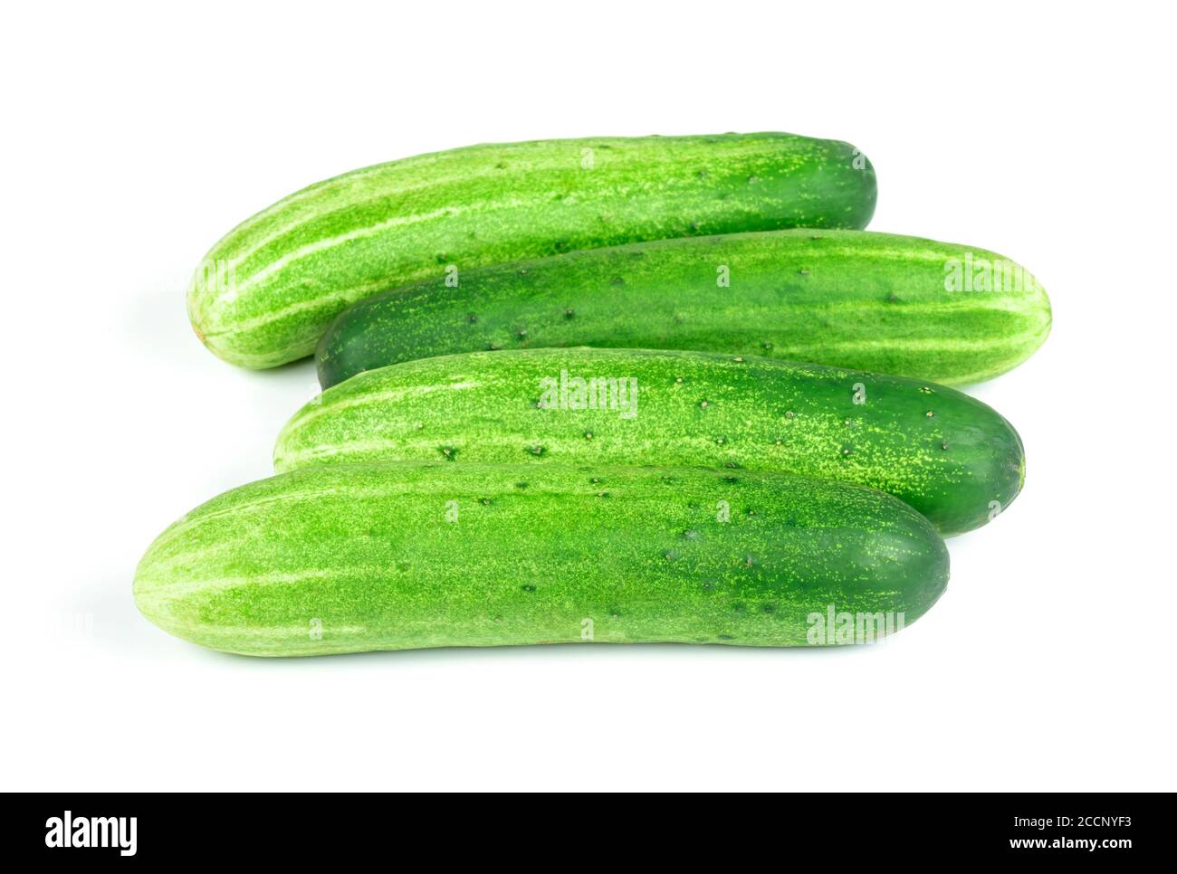 freshly green cucumbers on white background Stock Photo