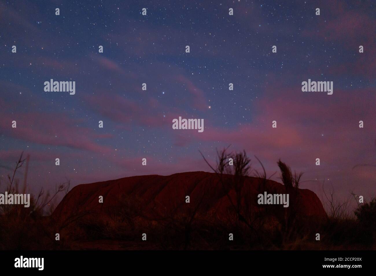 Mount Uluru at night. Stars in the sky and pink clouds. Eroded rock, orange color. Low bushes in front. Northern Territory NT, Australia Stock Photo