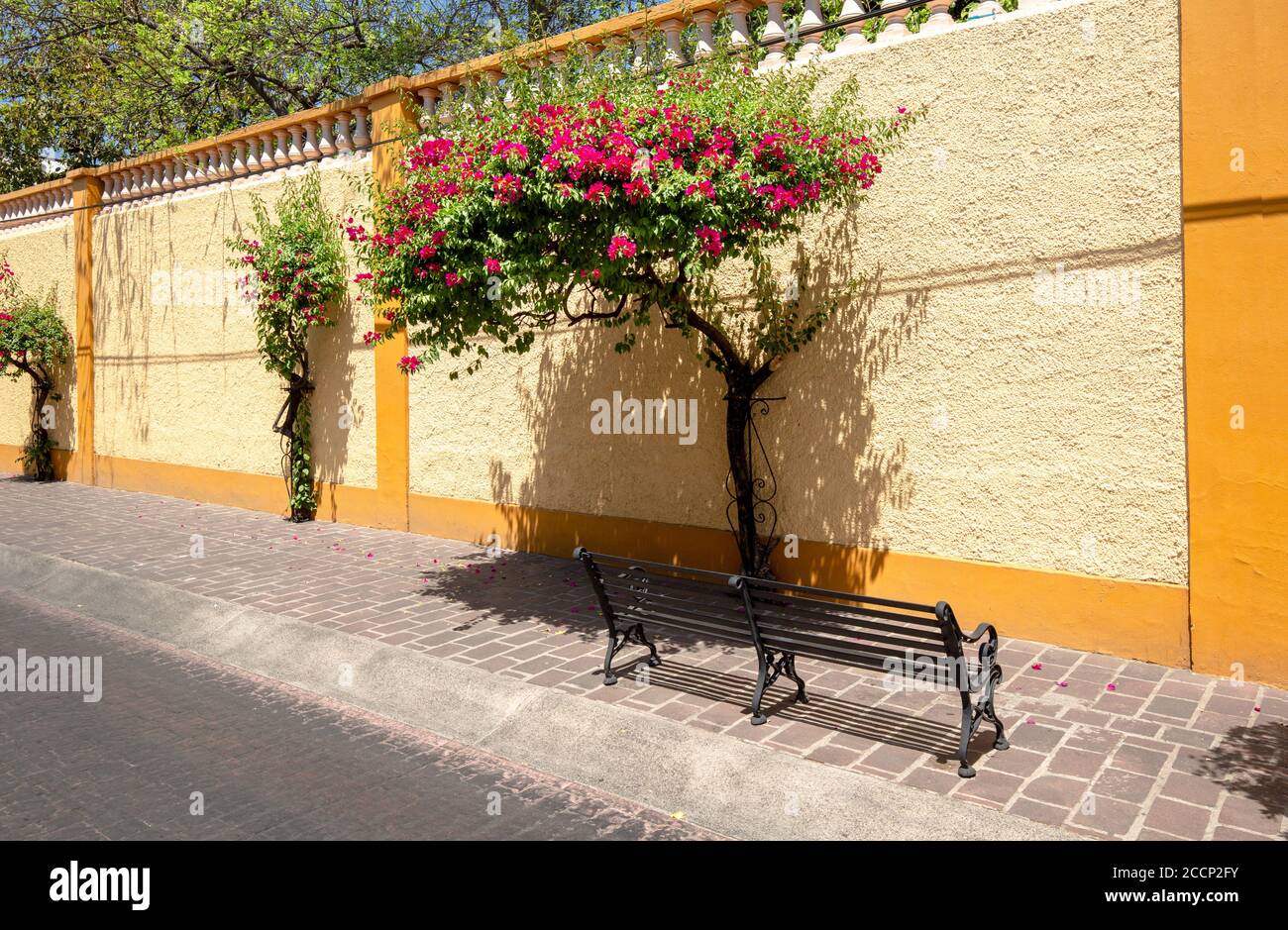 Guadalajara, Tlaquepaque scenic colorful streets during a peak tourist season Stock Photo