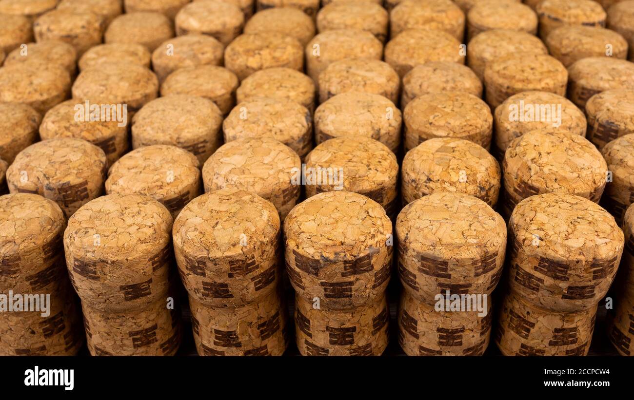 A lot of rows different wooden champagne or wine corks from cork tree. Use as pattern or background. Selective focus. Foreground focus. Close-up. Macr Stock Photo