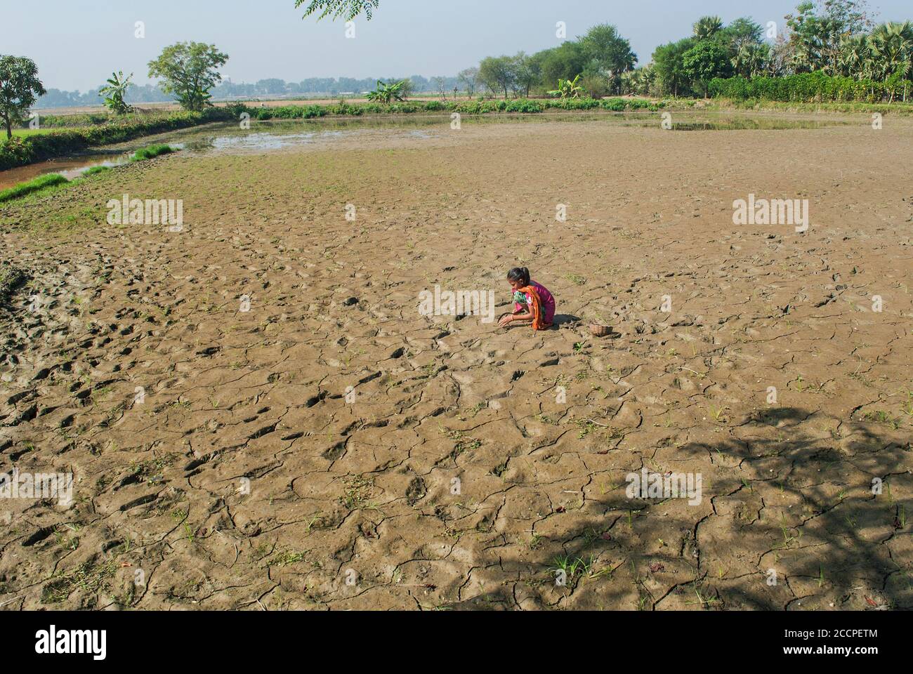 Simple Girl Village Bangladesh Stock Photo 2332334591