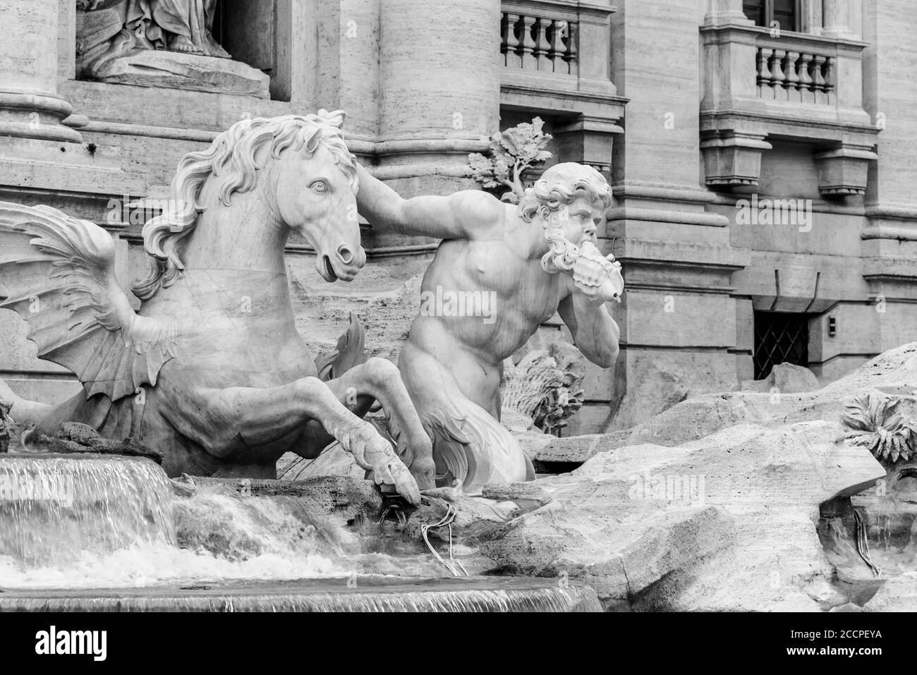 White marble statue of Triton with docile horse, part of Trevi Fountain, Rome, Italy. Black and white image. Stock Photo
