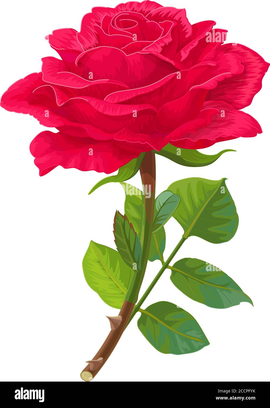 vector realistic clip art vintage rose flower Stock Vector Image & Art ...