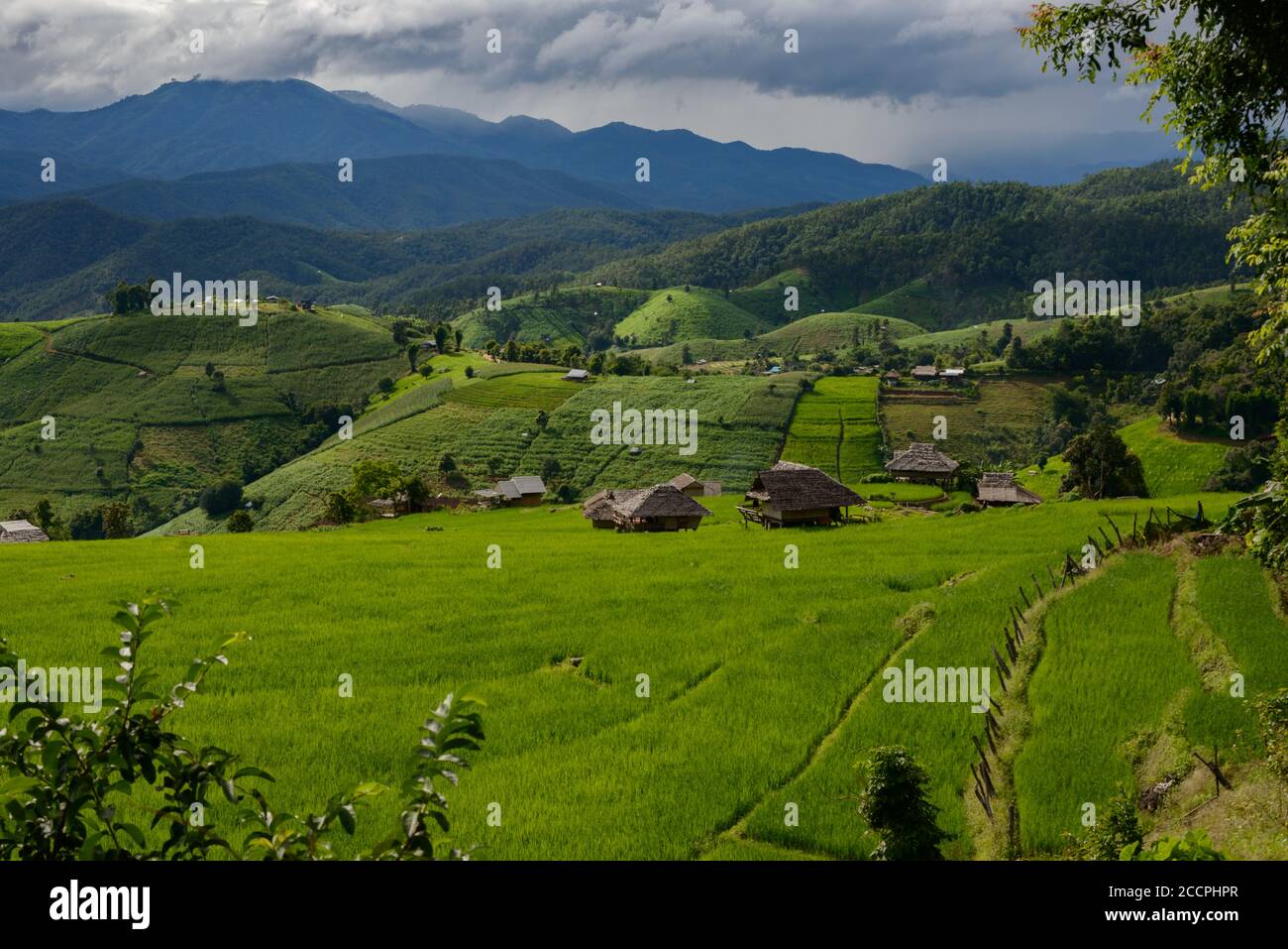 The beautiful scenery of the green terraced rice field of Bong Piang forest village in the rainy season in Mae Chaem, Chiang Mai, Thailand. Stock Photo