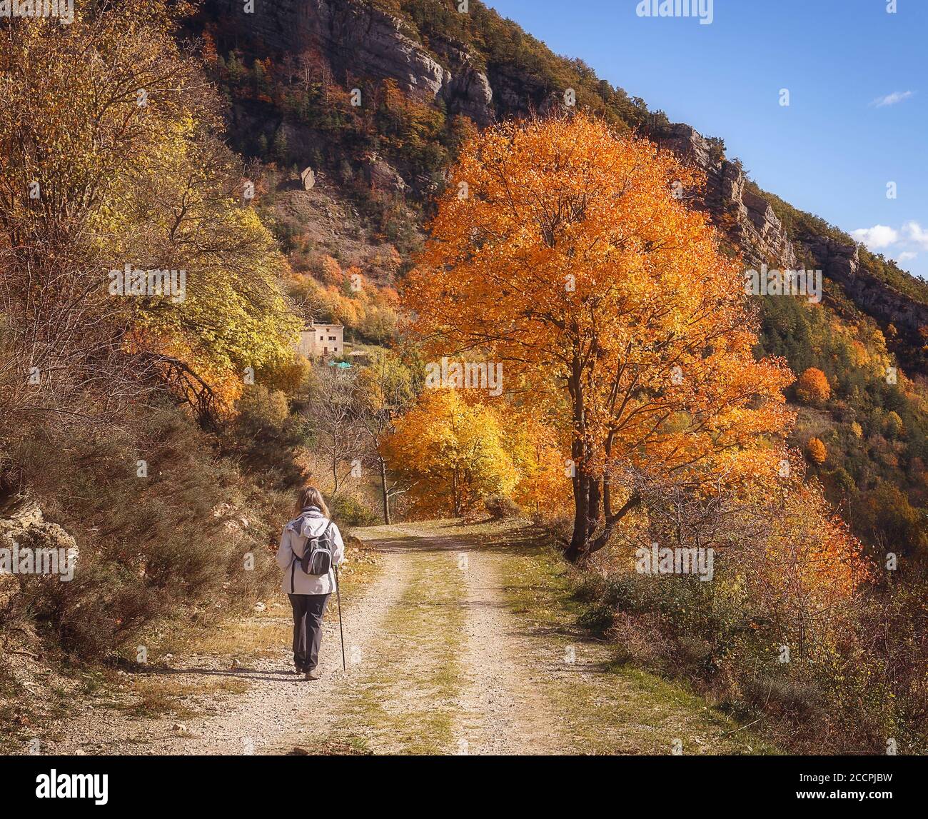 White woman hiking hi-res stock photography and images - Alamy