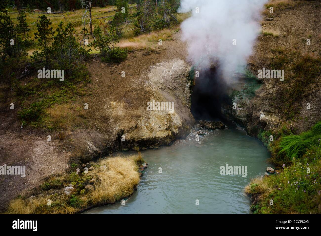 Steam exits Dragon's Mouth Spring in Yellowstone National Park. Stock Photo