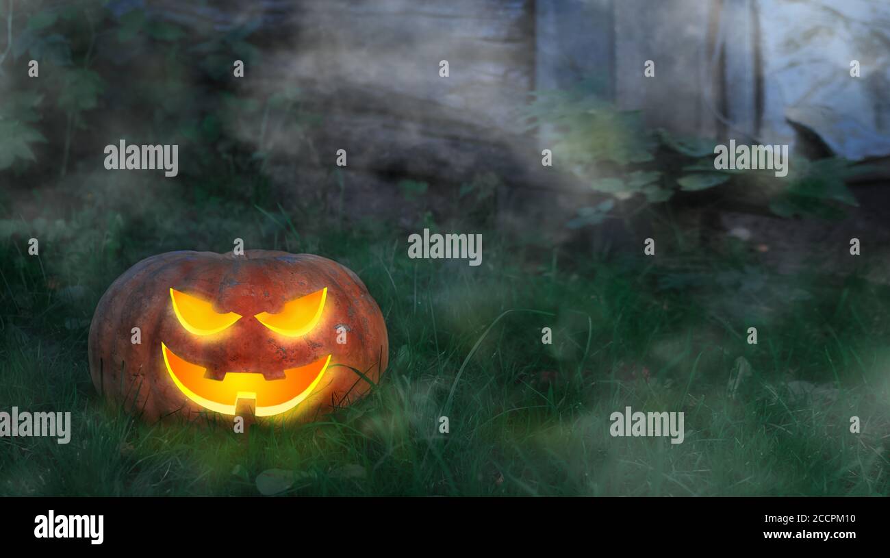 Halloween pumpkin on the ground at night in a mystical forest. Halloween background. Sinister 