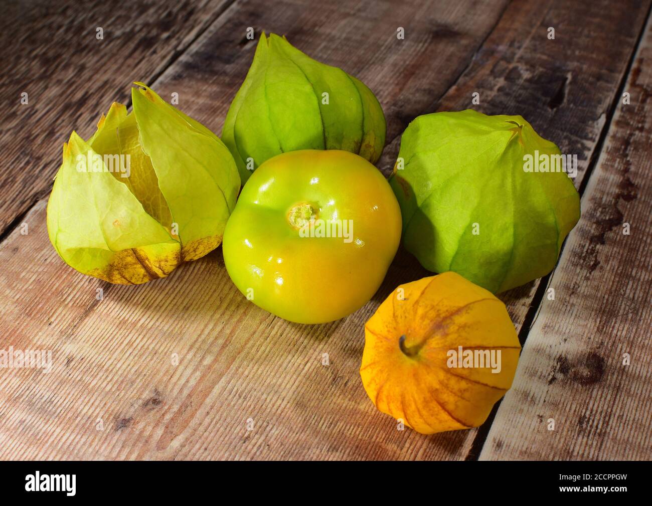 Tomatillo Plant Fruit Stock Photo Alamy