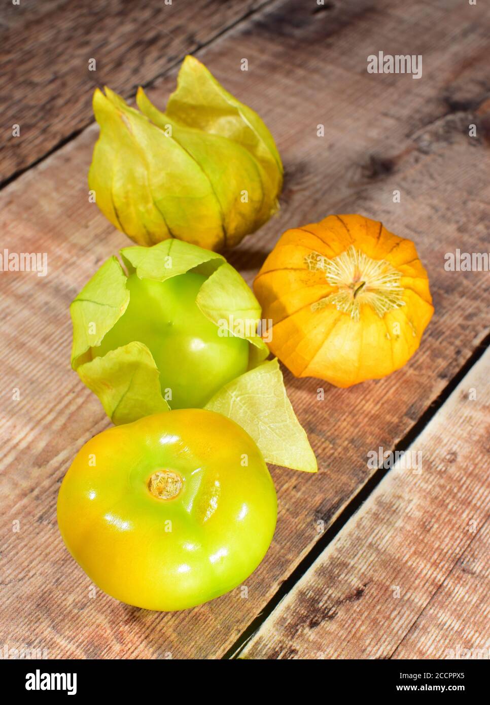 Tomatillo Plant Fruit Stock Photo Alamy