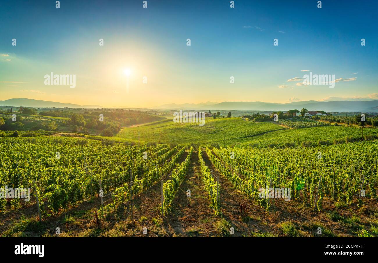 Chianti vineyards and panorama at sunset. Cerreto Guidi, Tuscany, Italy Europe. Stock Photo
