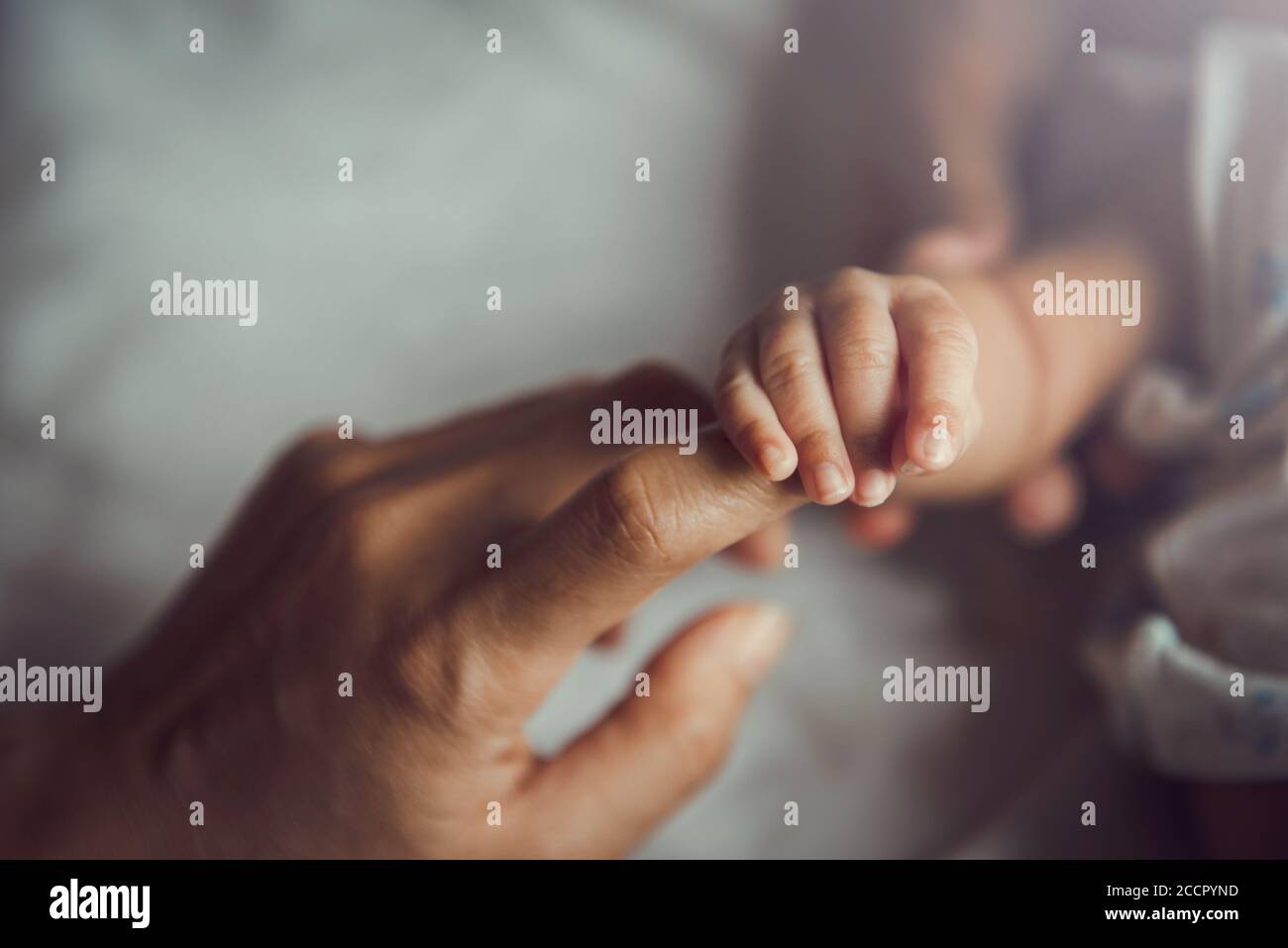 Newborn baby holding mother's hand. Stock Photo