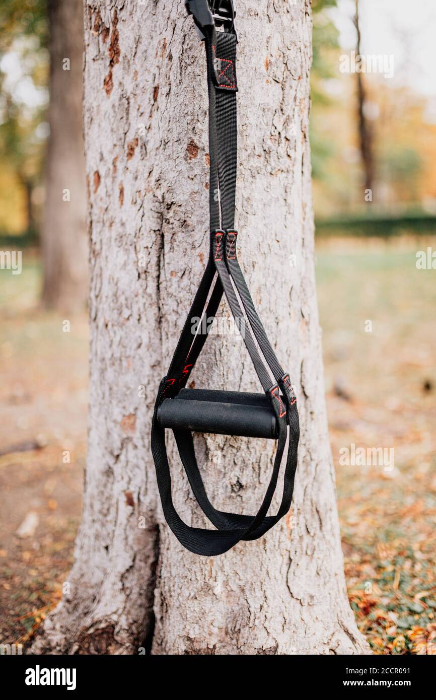 Trx fitness straps for working with own weight Stock Photo Alamy