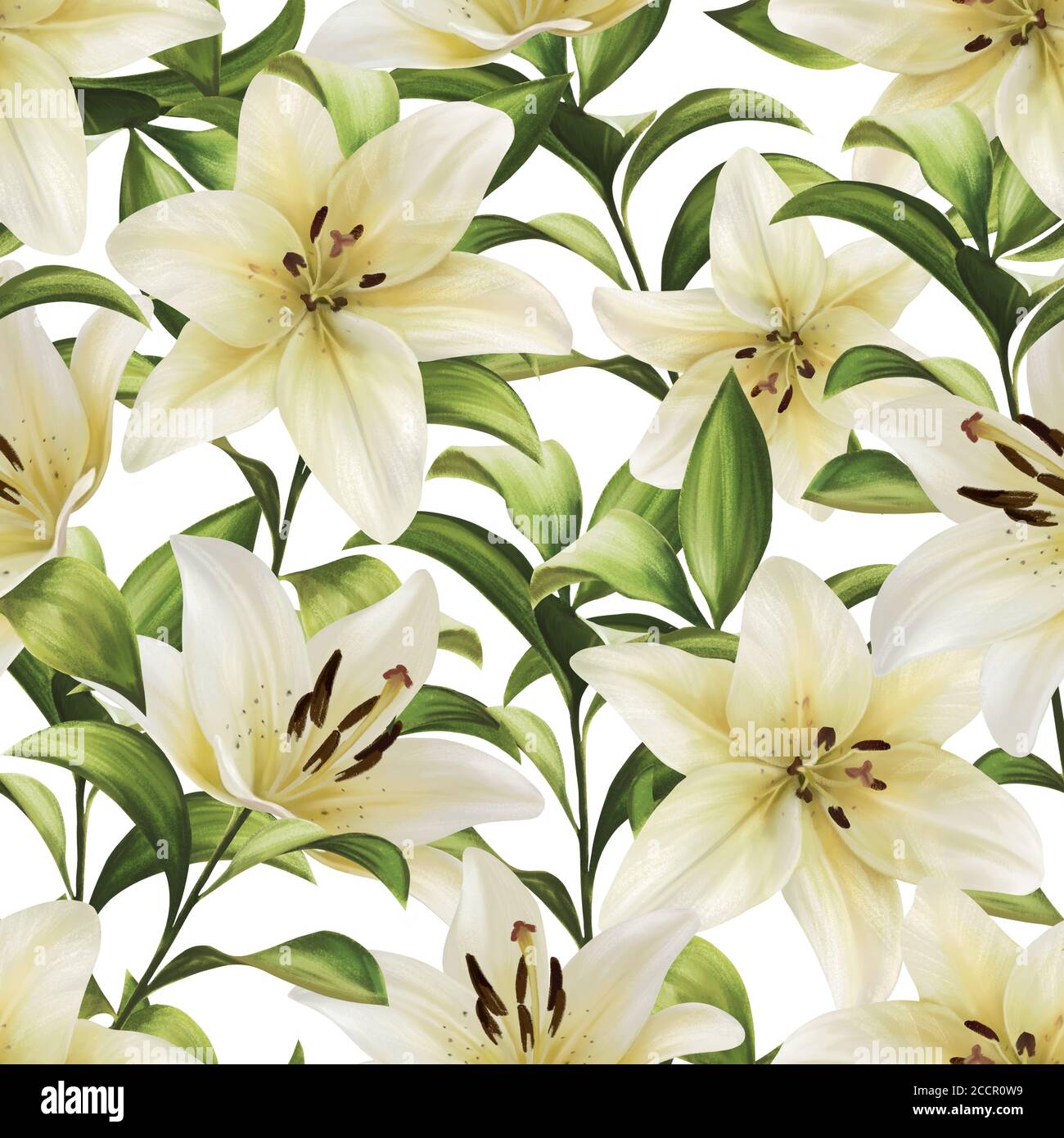 Beautiful seamless pattern with white lilies flowers Stock Photo