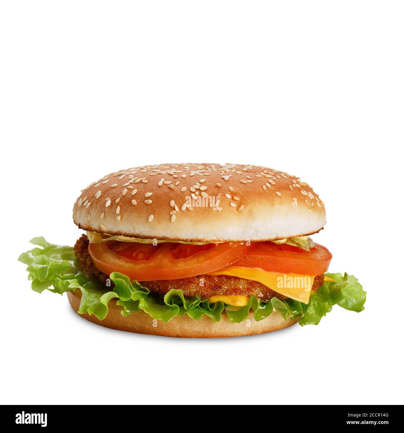 Classic hamburger with patty, cabbage, tomatoes, cheese and lettuce