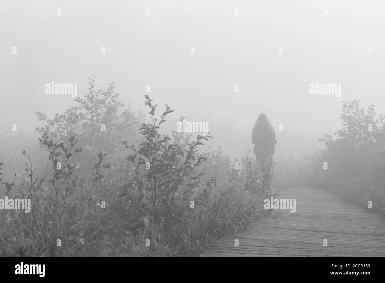 Silhouette of person walking on wooden boardwalk through early morning mist in outdoors scenery monochrome Stock Photo