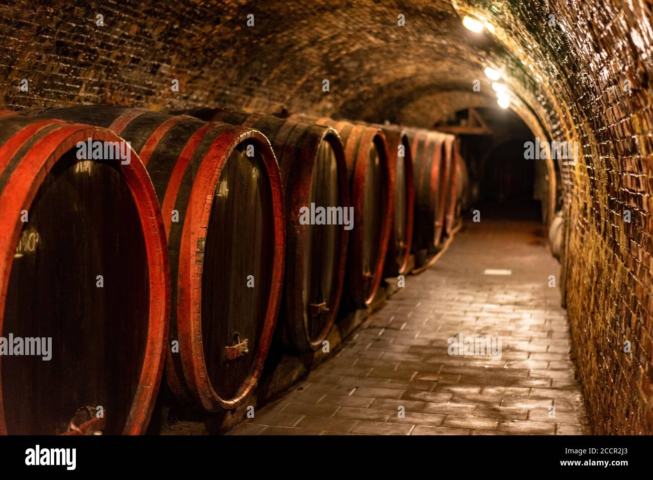 wooden old barrels in the rustic wine cellar with brick walls in villany hungary Stock Photo