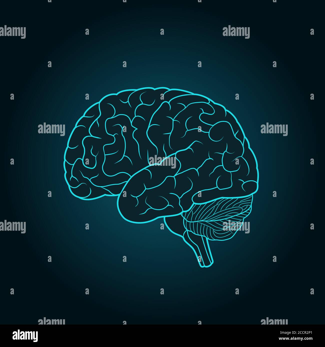 Schematic illustration of human brain on a dark blue background Stock ...