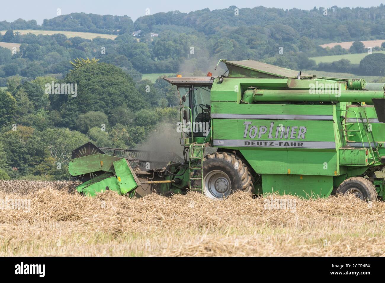 Deutz-Fahr 4065 combine harvester cutting 2020 UK wheat crop on hot summer day & filling air with dust. Tine reel and operator cab visible. UK wheat. Stock Photo