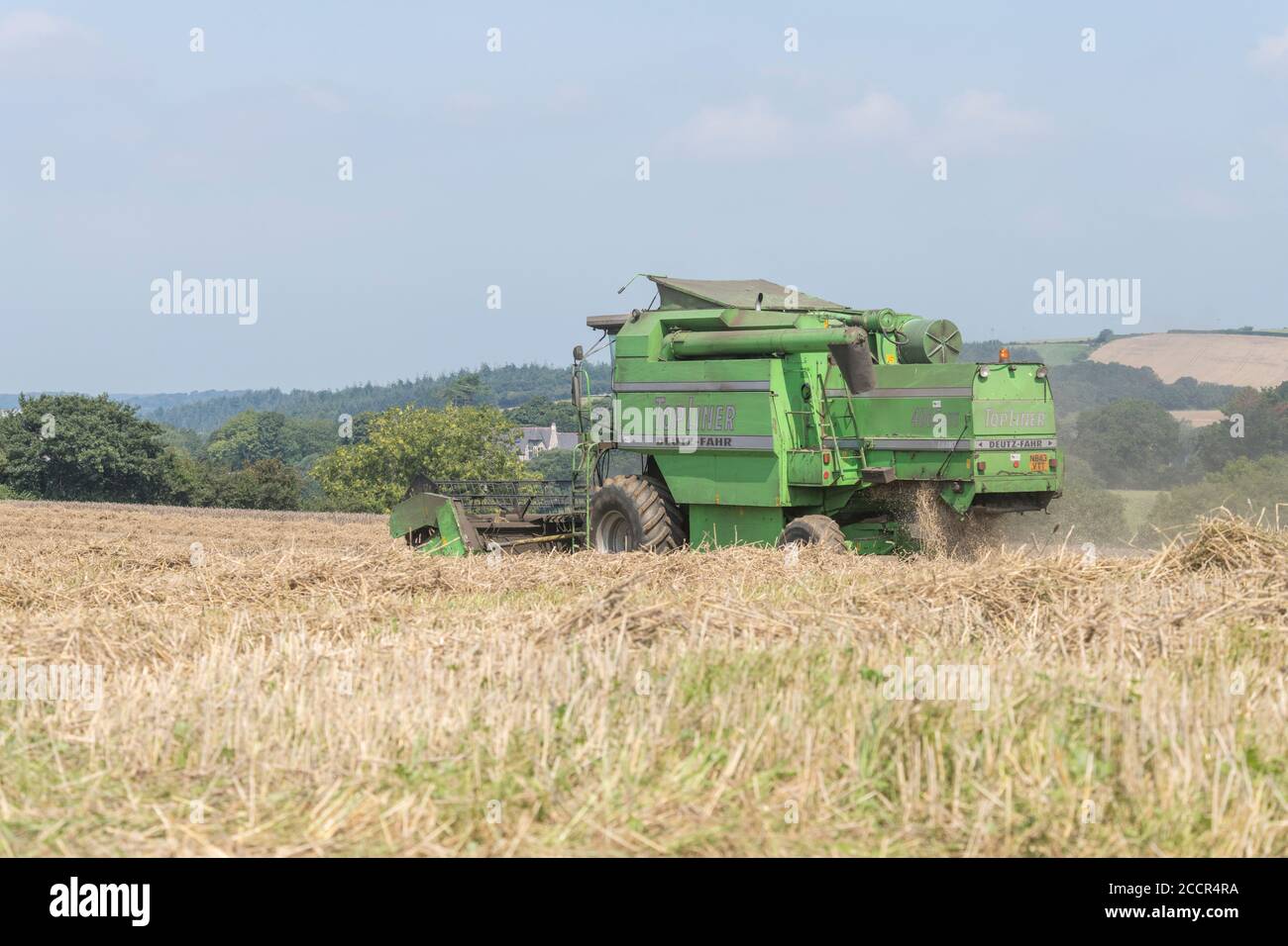 Deutz-Fahr 4065 combine harvester cutting 2020 UK wheat crop on hot summer day & filling air with dust. Tine reel, side-pipe and straw walker visible. Stock Photo